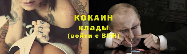 прущие грибы Абдулино
