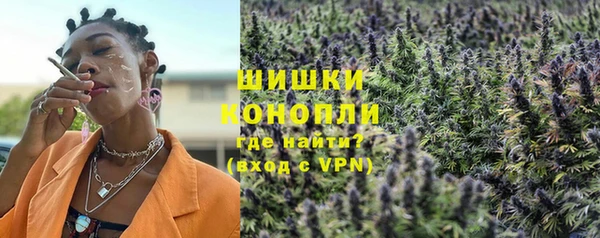 гидра Аркадак