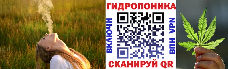 Конопля семена  ОМГ ОМГ как зайти  Тверь 